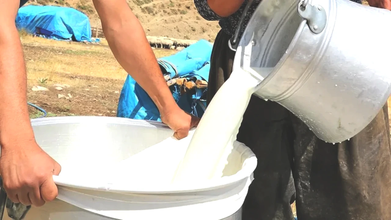 Süt Üreticilerinden Şok Talep: Fiyat 21 TL Olmalı, Zorunluluk!