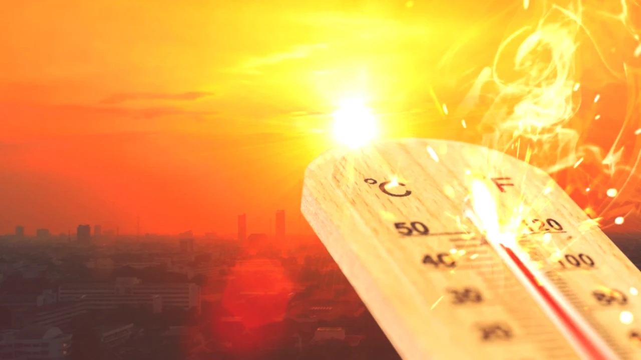Kuraklık Alarmı! Haziran 2025'te Türkiye'de En Sıcak Günler Yaşandı!