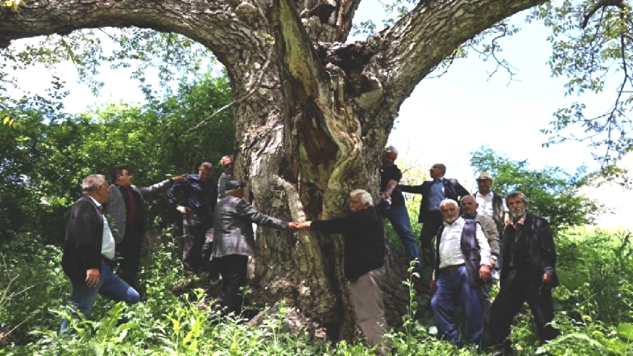 300 Yıllık Tarihi Eser: Sadece 7 Kişinin Koruduğu Göz Kamaştırıcı Görkemiyle Hayranlık Uyandırıyor!