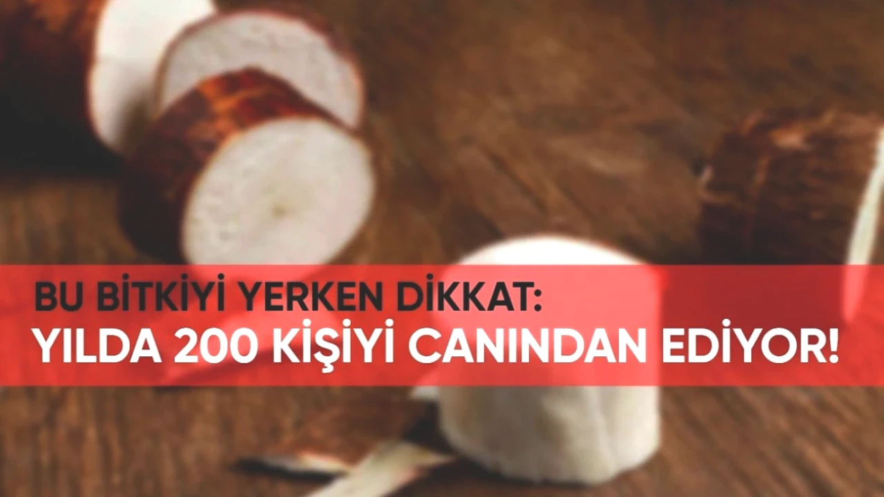 Dikkat! Bu Bitki Yılda 200 Kişinin Hayatına Mal Oluyor! Tüketim Tehlikesini Sakın Göz Ardı Etmeyin!