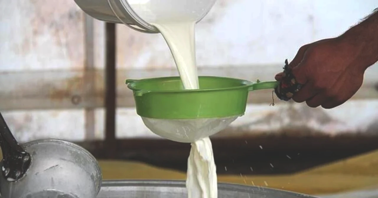 2025'te Çiğ Süt Fiyatları Açıklandı: 1 Litre Süt Artık Ne Kadar?