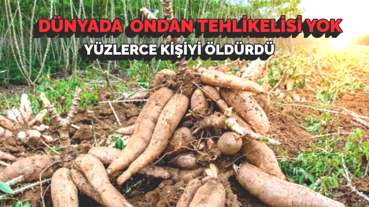 Dünyanın En Tehlikeli Yiyeceği: Her Yıl 200'den Fazla Ölüm! Bu Hataları Yapmayın!
